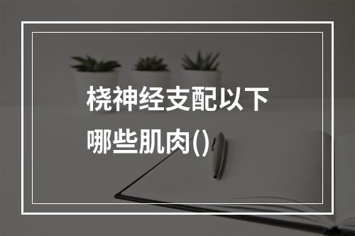 桡神经支配以下哪些肌肉()