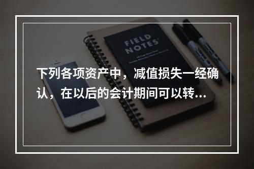 下列各项资产中，减值损失一经确认，在以后的会计期间可以转回的