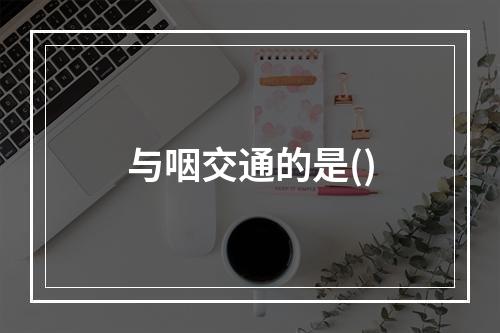 与咽交通的是()