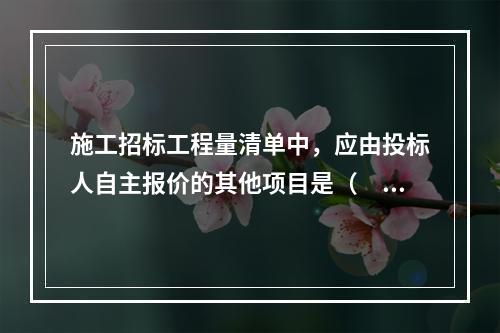 施工招标工程量清单中，应由投标人自主报价的其他项目是（　）。