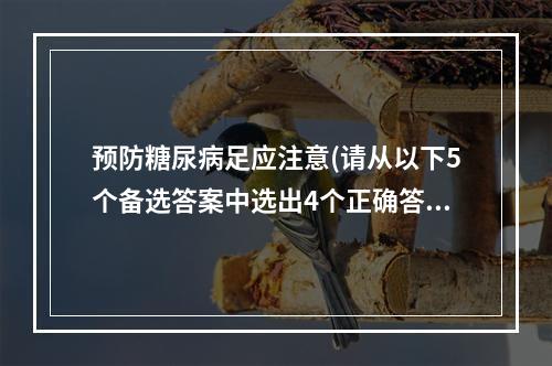 预防糖尿病足应注意(请从以下5个备选答案中选出4个正确答案)