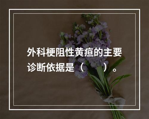 外科梗阻性黄疸的主要诊断依据是（　　）。