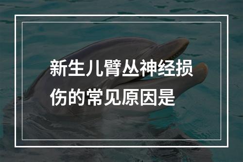 新生儿臂丛神经损伤的常见原因是