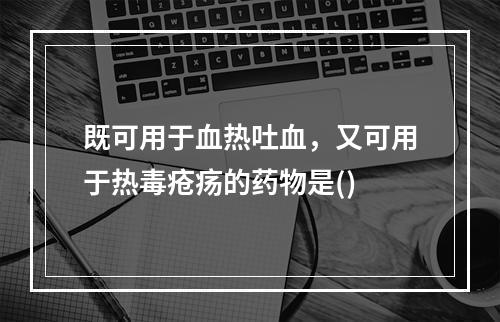 既可用于血热吐血，又可用于热毒疮疡的药物是()