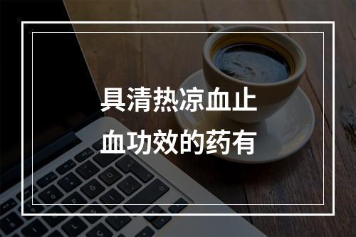 具清热凉血止血功效的药有