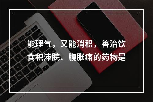 能理气，又能消积，善治饮食积滞脘、腹胀痛的药物是