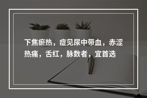 下焦瘀热，症见尿中带血，赤涩热痛，舌红，脉数者，宜首选