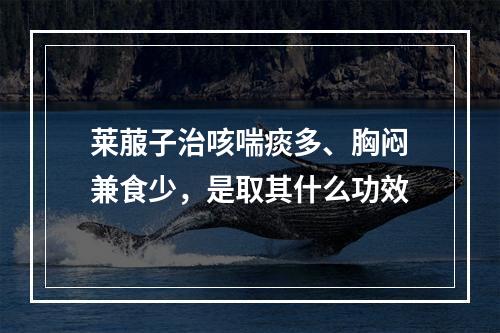 莱菔子治咳喘痰多、胸闷兼食少，是取其什么功效