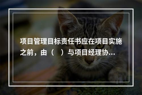 项目管理目标责任书应在项目实施之前，由（　）与项目经理协商制