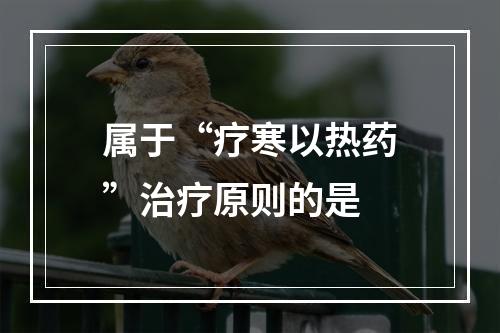 属于“疗寒以热药”治疗原则的是