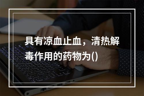 具有凉血止血，清热解毒作用的药物为()