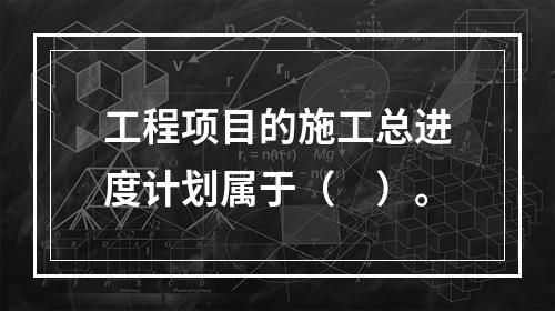 工程项目的施工总进度计划属于（　）。