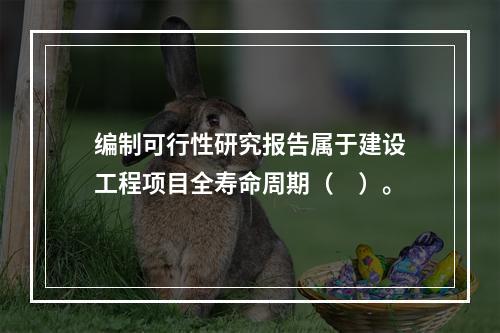 编制可行性研究报告属于建设工程项目全寿命周期（　）。