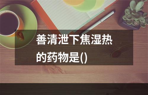 善清泄下焦湿热的药物是()