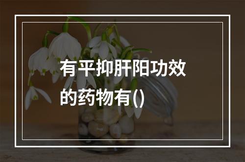 有平抑肝阳功效的药物有()