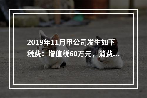 2019年11月甲公司发生如下税费：增值税60万元，消费税8