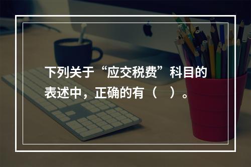 下列关于“应交税费”科目的表述中，正确的有（　）。