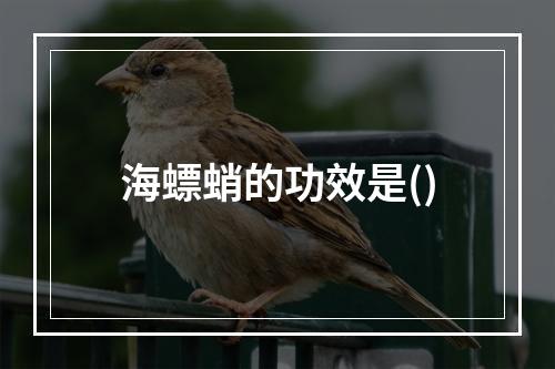 海螵蛸的功效是()