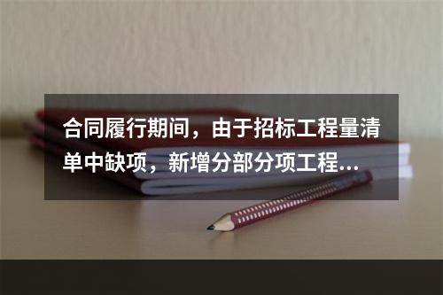 合同履行期间，由于招标工程量清单中缺项，新增分部分项工程清单