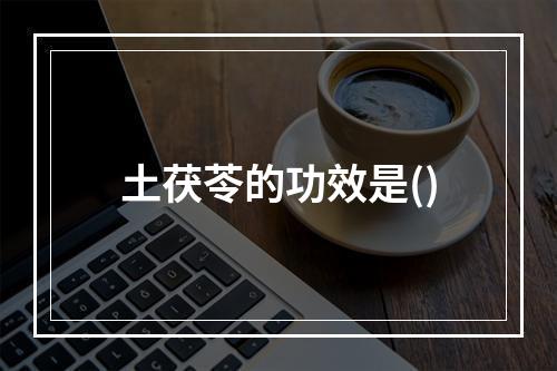 土茯苓的功效是()