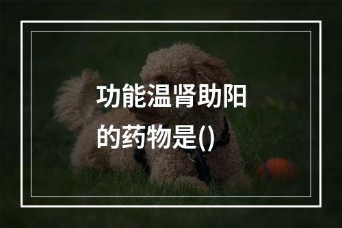 功能温肾助阳的药物是()