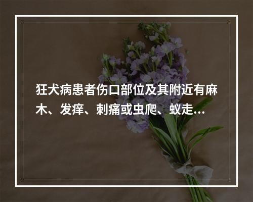 狂犬病患者伤口部位及其附近有麻木、发痒、刺痛或虫爬、蚁走感占