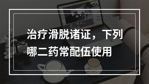 治疗滑脱诸证，下列哪二药常配伍使用