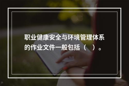 职业健康安全与环境管理体系的作业文件一般包括（　）。