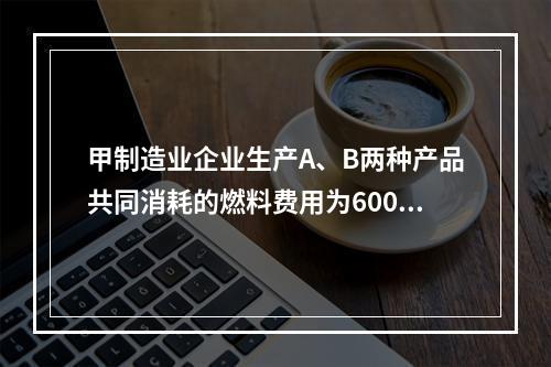 甲制造业企业生产A、B两种产品共同消耗的燃料费用为6000元