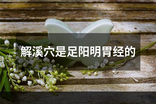 解溪穴是足阳明胃经的