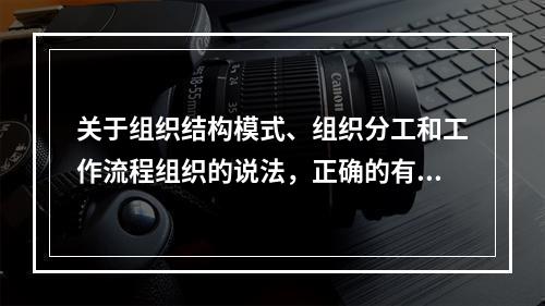 关于组织结构模式、组织分工和工作流程组织的说法，正确的有（　