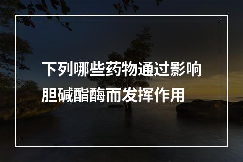 下列哪些药物通过影响胆碱酯酶而发挥作用