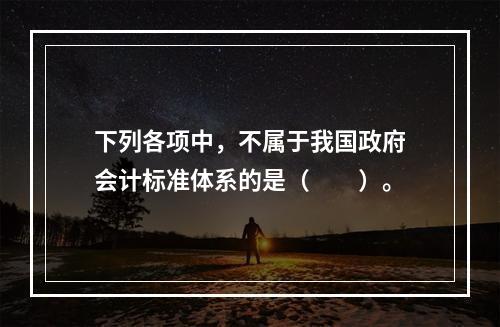 下列各项中，不属于我国政府会计标准体系的是（　　）。