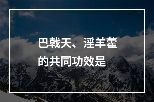 巴戟天、淫羊藿的共同功效是