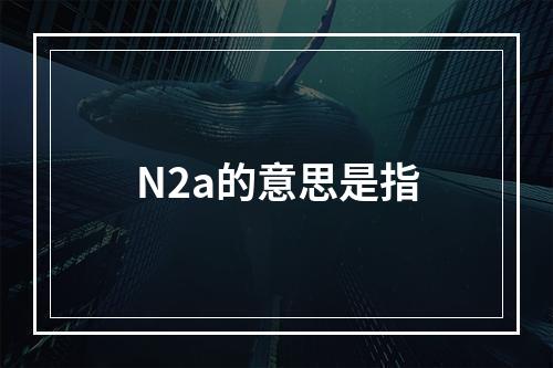 N2a的意思是指