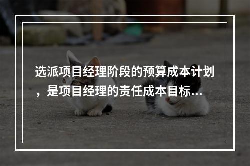 选派项目经理阶段的预算成本计划，是项目经理的责任成本目标，属