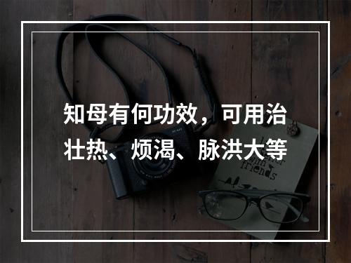 知母有何功效，可用治壮热、烦渴、脉洪大等