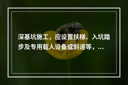 深基坑施工，应设置扶梯、入坑踏步及专用载人设备或斜道等，严禁