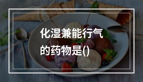 化湿兼能行气的药物是()