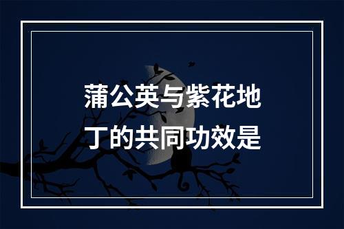 蒲公英与紫花地丁的共同功效是