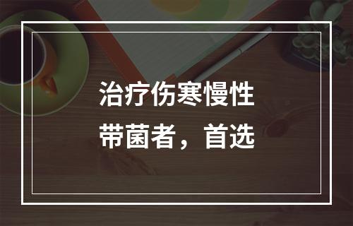 治疗伤寒慢性带菌者，首选