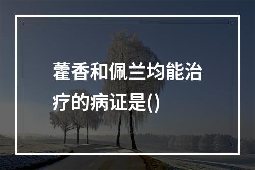 藿香和佩兰均能治疗的病证是()