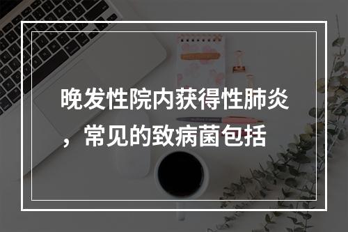 晚发性院内获得性肺炎，常见的致病菌包括