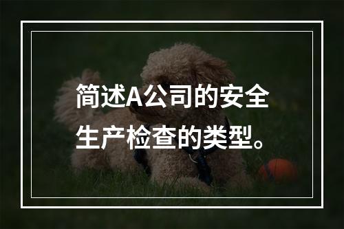 简述A公司的安全生产检查的类型。