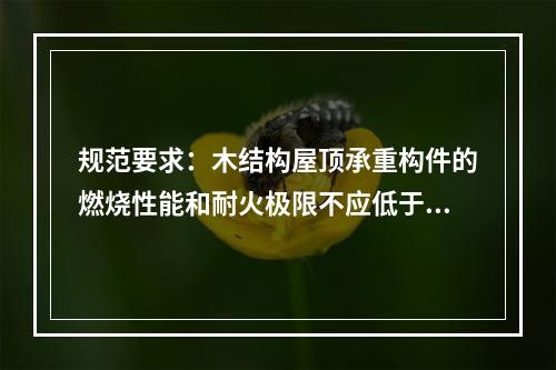 规范要求：木结构屋顶承重构件的燃烧性能和耐火极限不应低于下