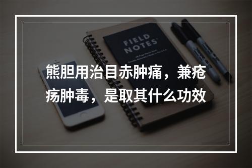 熊胆用治目赤肿痛，兼疮疡肿毒，是取其什么功效