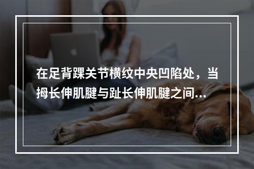 在足背踝关节横纹中央凹陷处，当拇长伸肌腱与趾长伸肌腱之间的穴