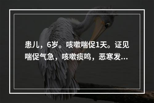 患儿，6岁。咳嗽喘促1天。证见喘促气急，咳嗽痰鸣，恶寒发热，