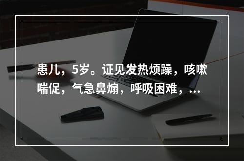 患儿，5岁。证见发热烦躁，咳嗽喘促，气急鼻煽，呼吸困难，喉间