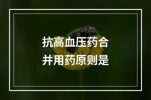 抗高血压药合并用药原则是